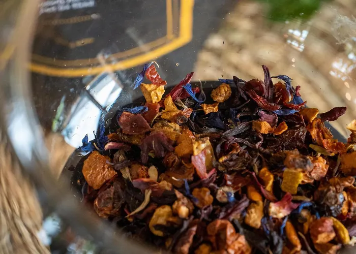 Ironresorts Niedzwiedzia 25 4*