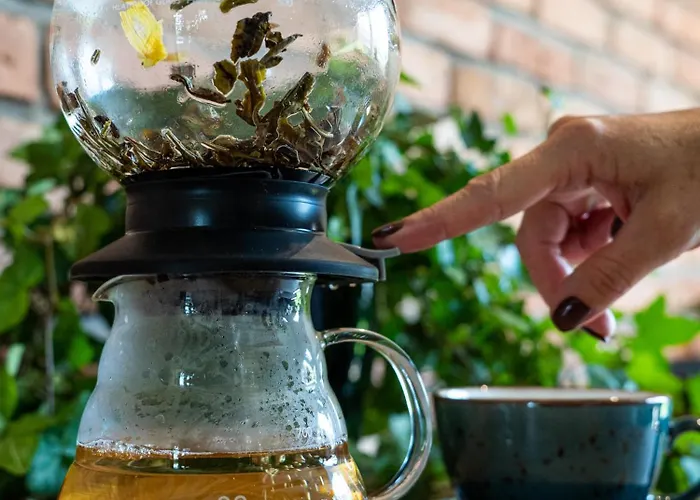 Ironresorts Niedzwiedzia 25 Bed & Breakfast 4*